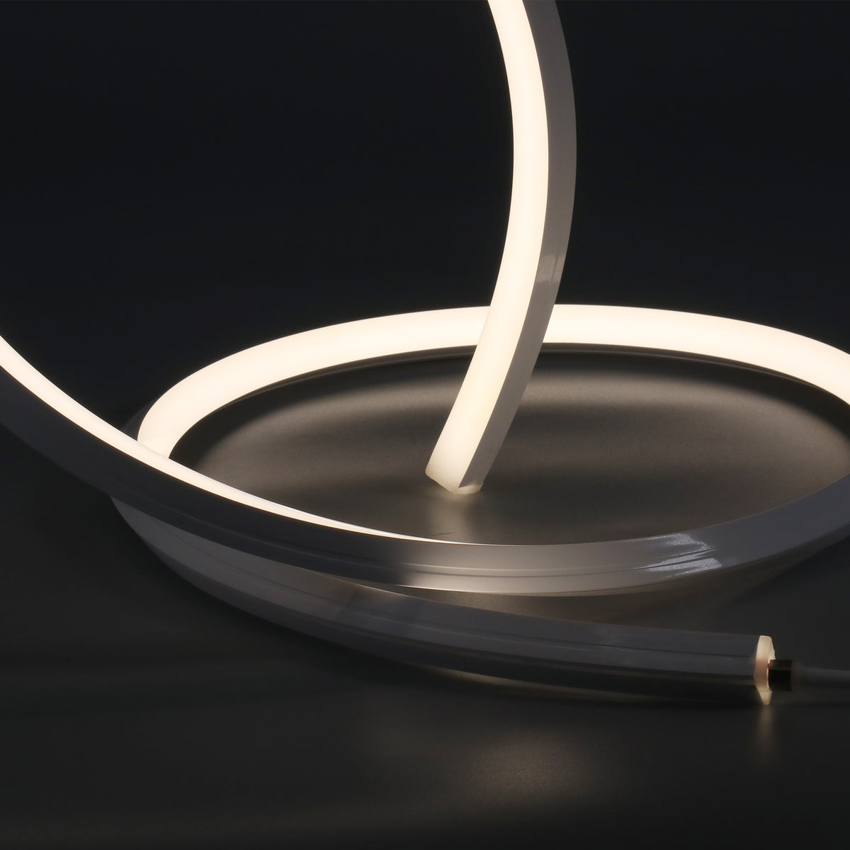 N1616D-3D Top and Side luminous LED Flex Neon Light for Indoor and Out ...